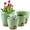 Green, variant on FOUKUS Set of 5 Self-Watering Plant Pots with Drainage – Eco-Friendly Plastic Planters for Indoor & Outdoor Use – Pots for Succulents, Cactus, Snake Plants (7", 6.5", 6", 5.5", 5") – Green