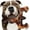 Brown, variant on Aelflane 2 Pack Dog Toys for Aggressive Chewers,Dog Chew Toys,Boredom and Stimulating Best Dog Toys for Medium/Large Breed,Tough Almost Indestructible Dog Bones for Teeth Cleaning and Training