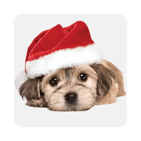 Walmart Holiday gift cards