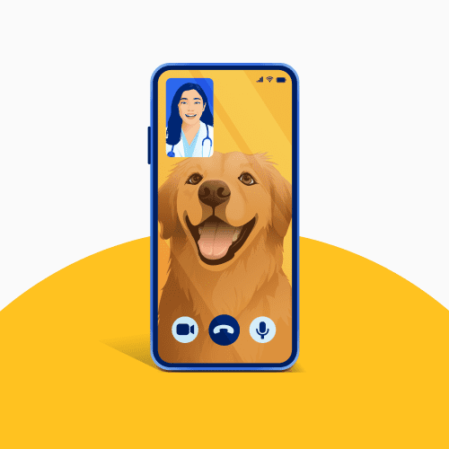 Free Online Pet Care Free Online Pet Care