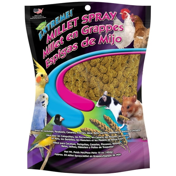 F.M. Brown's Extreme Spray Millet Treat 16 Oz For Parakeets, Cockatiels, and Finches