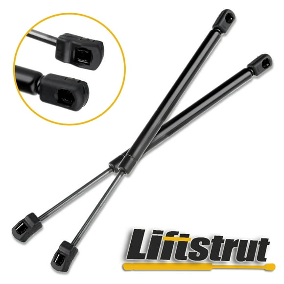 Front Hood Lift Supports Struts Gas Springs Prop Rods for Ford Expedition 1997-2006 for Ford F-150 1997-2004 for Ford F-150 Heritage 2004 for Ford F-250 1995 1997-2004 Set of 2