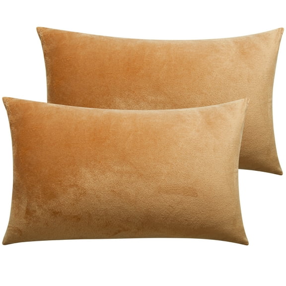 Ntbay 2 Pack Velvet Queen Hidden Zippered Pillowcases, Super Soft and Cozy Luxury Solid Color Pillow Cases, 20 x 30 Inches, Camel