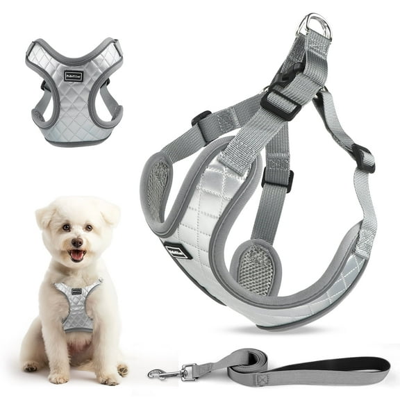 PcEoTllar Dog Harness and Leash Combo, Escape Proof No Pull Vest Harness, Step-in Reflective Adjustable Soft Padded Pet Harness for Small to Large Dogs, Gray XS